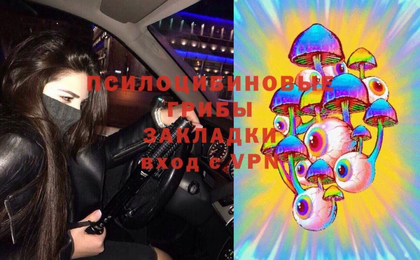 индика Елабуга