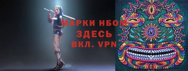 ALPHA PVP Новозыбков