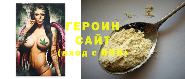 индика Елабуга