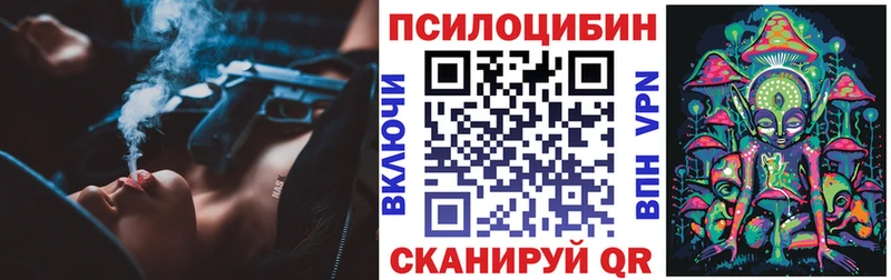 Псилоцибиновые грибы Psilocybe мориарти Telegram Кольчугино